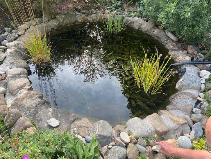 Complete vijver met vissen en pomp, Tuin en Terras, Vijvers, Gebruikt, Ophalen