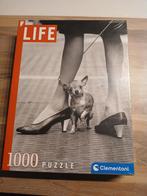 Nieuwe puzzel - Chihuahua, Ophalen of Verzenden, 500 t/m 1500 stukjes, Nieuw, Legpuzzel