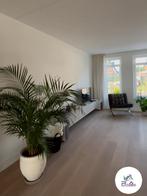 Renovlies behang latex spuiten gezocht? Zwolle & omgeving, Kleuradvies, Behangen