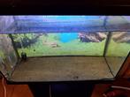 zwarte superfish aquarium 60 liter + meubel, Ophalen, Gebruikt, Leeg aquarium