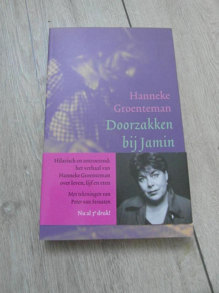 Doorzakken Bij Jamin - Hanneke Groenteman, Boeken, Literatuur, Zo goed als nieuw, Ophalen of Verzenden
