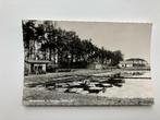 Ansichtkaart Denekamp, camping papillon, Verzamelen, Ansichtkaarten | Nederland, Ophalen of Verzenden, 1960 tot 1980