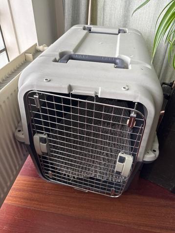 IATA Transport box / honden bench beschikbaar voor biedingen