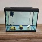 HS aqua platy 50 Aquarium incl vissen en accessoires., Dieren en Toebehoren, Vissen | Aquaria en Toebehoren, Ophalen, Gebruikt