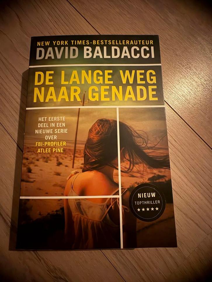 David Baldacci - De Lange Weg naar Genade, Boeken, Detectives, Zo goed als nieuw, Ophalen of Verzenden