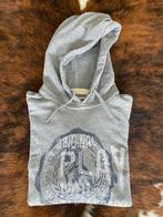 sportieve jogging trui REPLAY - maat S - als NIEUW   , Maat 52/54 (L), Ophalen of Verzenden, Zo goed als nieuw, Grijs