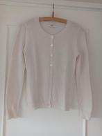 CUBUS merino cashmere vest Mt S, Verzenden, Zo goed als nieuw, Maat 38/40 (M)