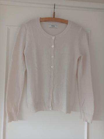 CUBUS merino cashmere vest Mt S beschikbaar voor biedingen