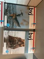 Bvj 3 vmbo-K A+B werkboek, Ophalen of Verzenden, Zo goed als nieuw, Overige niveaus, Nederlands