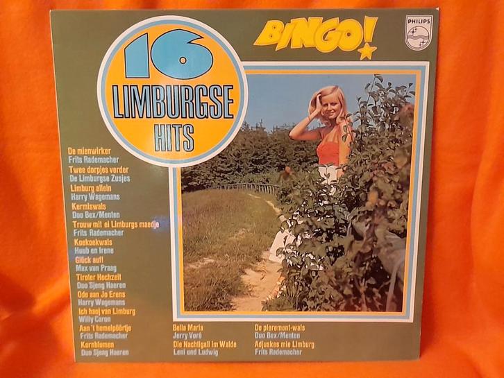 16 Limburgse hits BINGO! Hits uit de jaren '50 en '60, Cd's en Dvd's, Vinyl | Nederlandstalig, Zo goed als nieuw, Levenslied of Smartlap