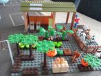 Bouwsteentjes boerderij, Ophalen of Verzenden, Zo goed als nieuw, Duplo
