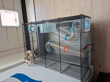 Hamster hok   beschikbaar voor biedingen