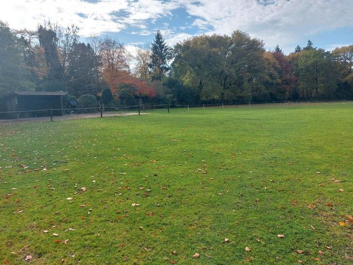 Weiland schuilstal delen met Ijslander of ander klein paard, Dieren en Toebehoren, Stalling en Weidegang