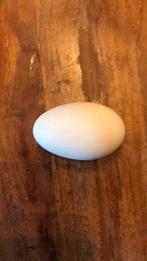 Gratis verse eieren afhalen, Diversen, Ophalen