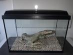 Aquarium 60x30xh45, Dieren en Toebehoren, Vissen | Aquaria en Toebehoren, Ophalen, Zo goed als nieuw, Leeg aquarium