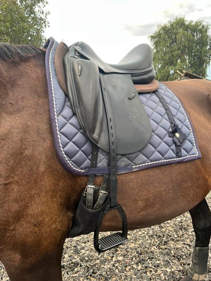 Prestige Helen mono 17” boommaat 32, Dieren en Toebehoren, Paarden en Pony's | Zadels, Zo goed als nieuw, Dressuur, Ophalen