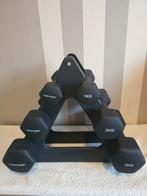 Tunturi Halterset 1, 2 en 3 kg, Sport en Fitness, Fitnessmaterialen, Ophalen of Verzenden, Gebruikt, Rug, Halterset