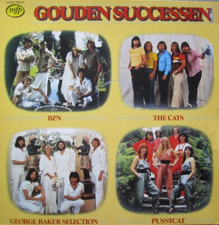 Gouden Successen (BZN, The Cats), Cd's en Dvd's, Vinyl | Nederlandstalig, Gebruikt, Levenslied of Smartlap, 12 inch, Ophalen of Verzenden
