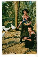 Staphorst Klederdracht Kippen, Verzenden, 1940 tot 1960, Ongelopen, Overijssel