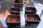 Geglazuurde terracotta bonsai potten diverse modellen, Binnen, Ophalen of Verzenden, Zo goed als nieuw, Terracotta