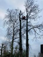 Boomverzorging, Diensten en Vakmensen, Tuinmannen en Stratenmakers