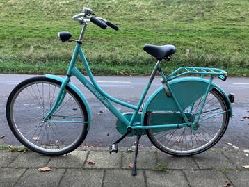 pelikaan dutch incl nagekeken en beurt gehad beschikbaar voor biedingen