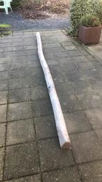 Kastanje paal 3.50m, Tuin en Terras, Palen, Balken en Planken, Ophalen, Zo goed als nieuw, 250 cm of meer, Palen