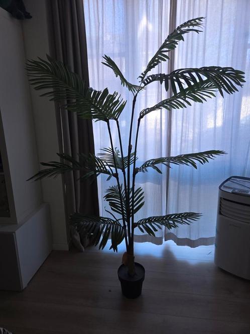 Nep plant MOET WEG!!, Huis en Inrichting, Kamerplanten, Overige soorten, 150 tot 200 cm, Groene kamerplant, Volle zon, In pot