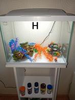 Super fish start 50 tropical kit. Inhoud 45 liter, Dieren en Toebehoren, Vissen | Aquaria en Toebehoren, Ophalen, Zo goed als nieuw