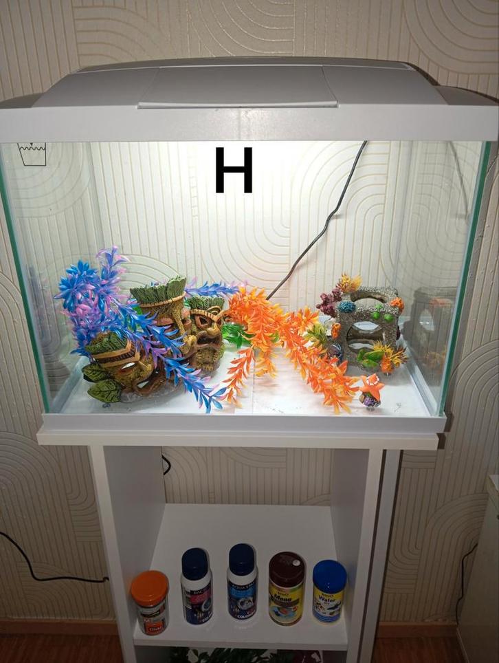 Super fish start 50 tropical kit. Inhoud 45 liter, Dieren en Toebehoren, Vissen | Aquaria en Toebehoren, Zo goed als nieuw, Leeg aquarium