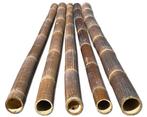 bamboepalen, zwarte bamboepalen, bamboestokken, bamboepaal, Ophalen of Verzenden, Nieuw, 180 tot 250 cm, Palen