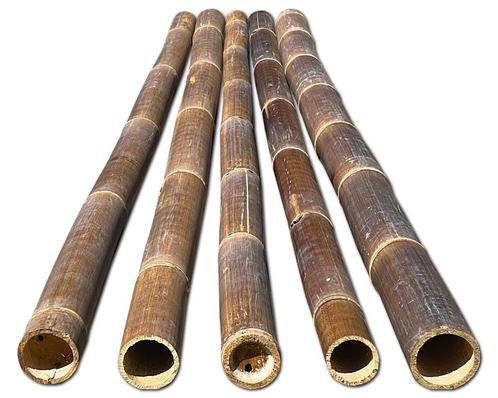 bamboepalen, zwarte bamboepalen, bamboestokken, bamboepaal, Tuin en Terras, Palen, Balken en Planken, Nieuw, Palen, 180 tot 250 cm