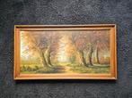 Bosgezicht , schilderij., Ophalen of Verzenden