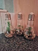 Decoratie led lampjes met planten 3 stuks, Ophalen of Verzenden