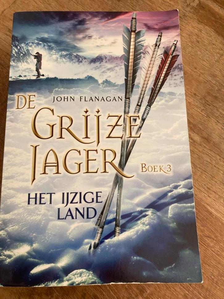 De Grijze Jager - Het IJzige Land (Boek 3), Boeken, Fantasy, Zo goed als nieuw, Ophalen of Verzenden