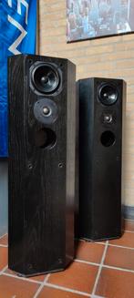 Elipson 1313 Zuilspeakers - Frankrijk Zwart., Gebruikt, 60 tot 120 watt, Front, Rear of Stereo speakers, Ophalen