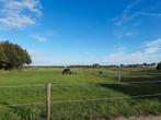 Pensionstalling Wapserveen, Dieren en Toebehoren, Stalling en Weidegang