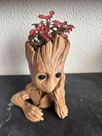 Grote "Groot" Plantenpot – Eyecatcher voor elke ruimte!, Ophalen of Verzenden, Overige soorten, 200 cm of meer