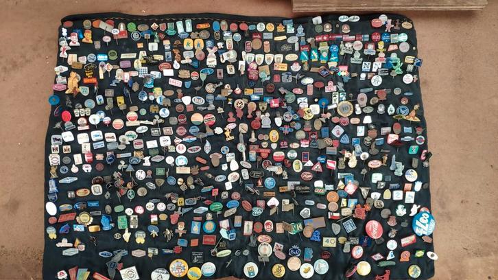 Grote verzameling speldjes/pins, Verzamelen, Speldjes, Pins en Buttons, Gebruikt, Speldje of Pin, Overige onderwerpen, Ophalen of Verzenden