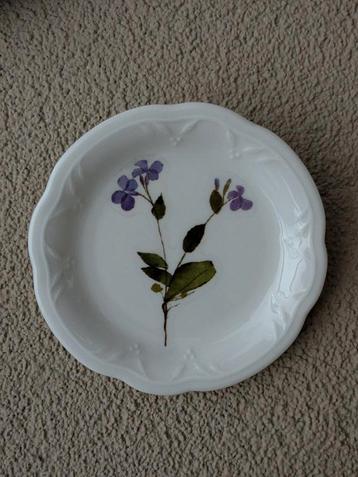 Wandbord muur hanger decoratie Mastbloem/Vlambloem! beschikbaar voor biedingen