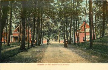 (300-259-043) Bussum Bosch van Bredius beschikbaar voor biedingen