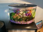 Biorb 30 liter……100% in orde, Ophalen, Gebruikt, Overige typen