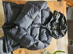 Burberry puffer, Kleding | Heren, Jassen | Winter, Zwart, Nieuw, Overige maten, Ophalen of Verzenden