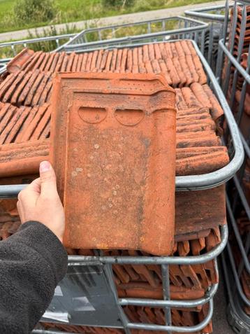 500x pottelberg  / Sterrenberg courtral beschikbaar voor biedingen