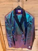 Carnavalskostuum, Kleding | Heren, Carnavalskleding en Feestkleding, Ophalen, Zo goed als nieuw