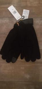 Nieuwe Thimberland handschoenen, Ophalen of Verzenden, Nieuw, Maat 56/58 (XL), Handschoenen