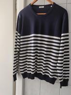 Herentrui, Kleding | Heren, Truien en Vesten, Maat 52/54 (L), Brax, Overige kleuren, Verzenden