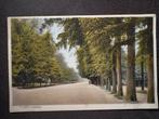 Oude Ansichtkaart 't Loo - Loolaan, Verzamelen, Ansichtkaarten | Buitenland, Ophalen of Verzenden, 1920 tot 1940, Gelopen, België en Luxemburg