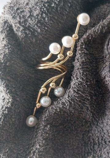 Mooie ring/handsierraad beschikbaar voor biedingen