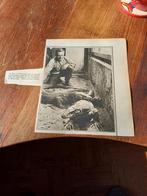 Knipsel reuzenvaranen dierentuin Artis Amsterdam 1930, Ophalen of Verzenden, 1920 tot 1940, Knipsel(s)